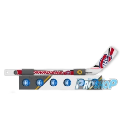 SHERWOOD Pack Rapid NHL (1 Mini Crosse + 6 Balles)