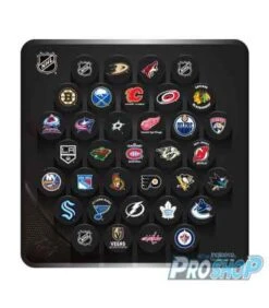 Plaque Murale Mini Palets NHL